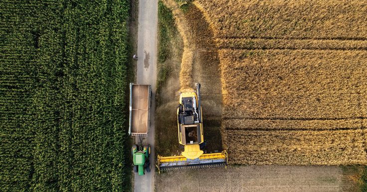 Aerial view of harvesting in the Markham Valley