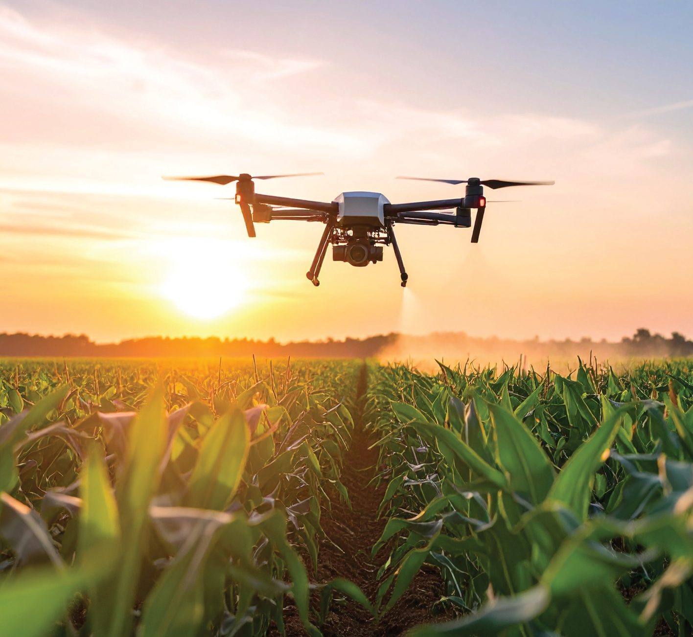 Drone over a cornfield at sunset